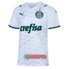 Oficiální Fotbalový Dres Palmeiras Hostující 2021-22 pro Muži